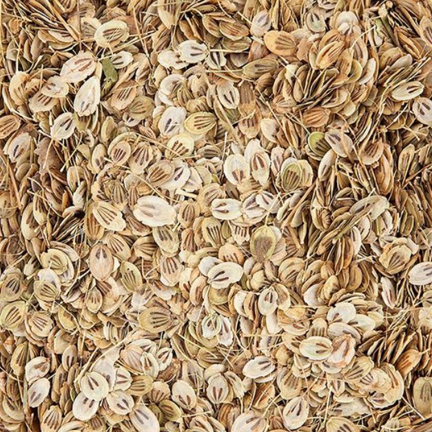 گلپر کوهی 5ستاره فدک