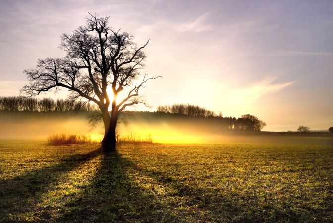 خرید و دانلود عکس Nature-Part-7 کد 37157 | پیک فاکس | Pic Fox