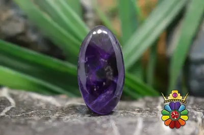 امتیست تراپیچ