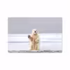 برچسب پوششی ماهوت مدل Polar bear مناسب برای تبلت سامسونگ Galaxy Tab S4 10.5 2018 T835