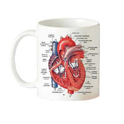 ماگ طرح دانشجو پزشکی