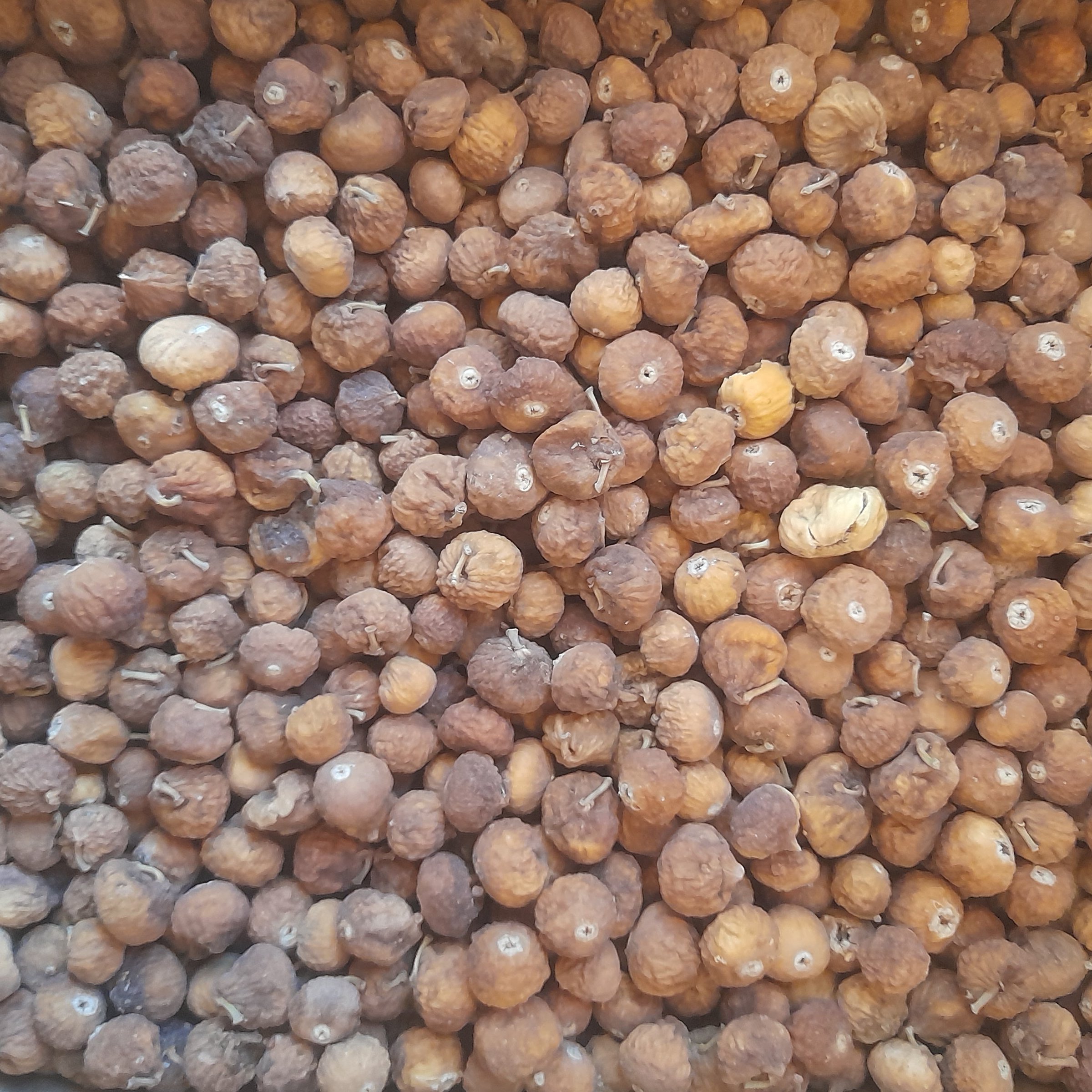 انجیرتازه  محلی  استهبان کارتن 10کیلویی یک میلیون ارسال رایگان