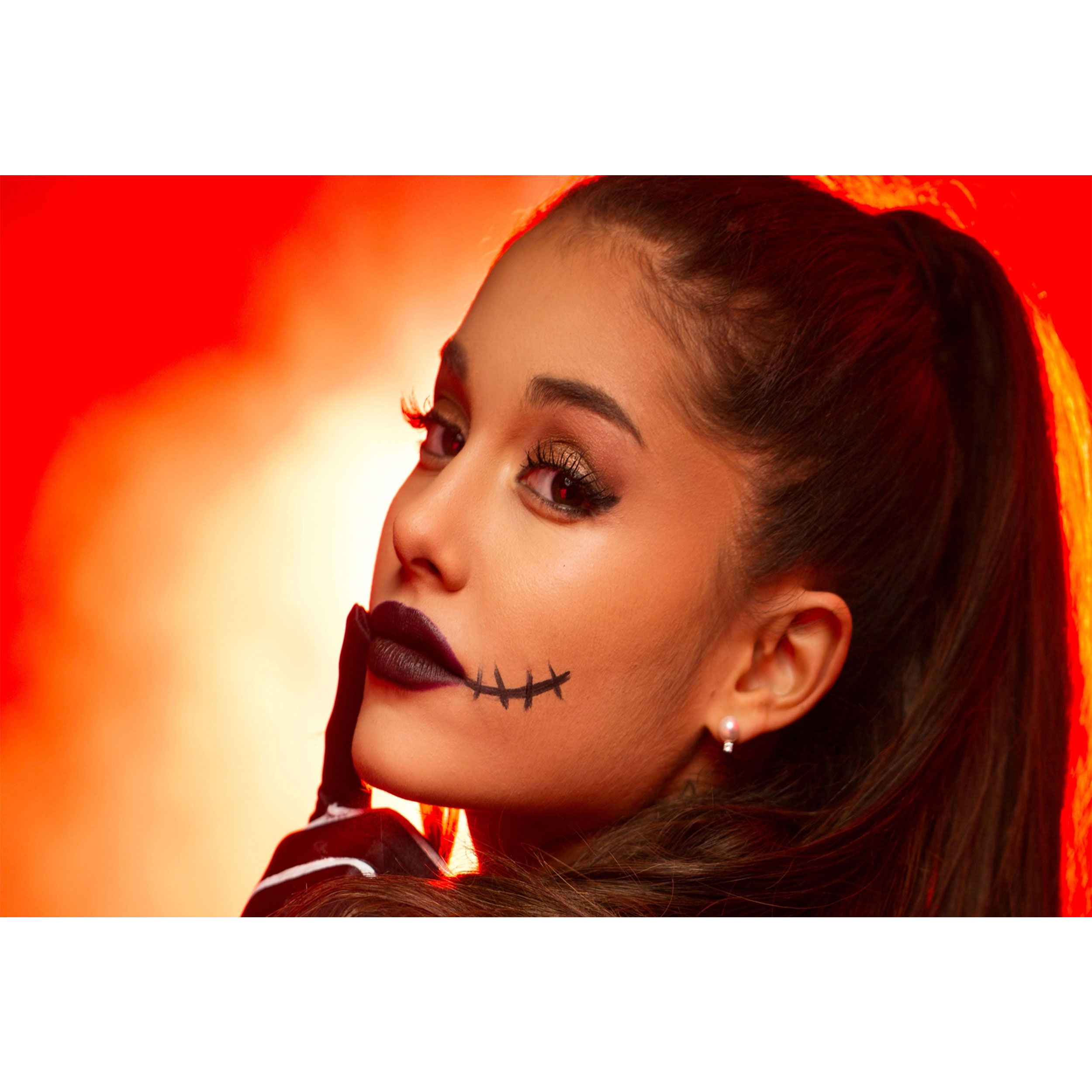 تابلو شاسی مدل خواننده آریانا گرانده T6019