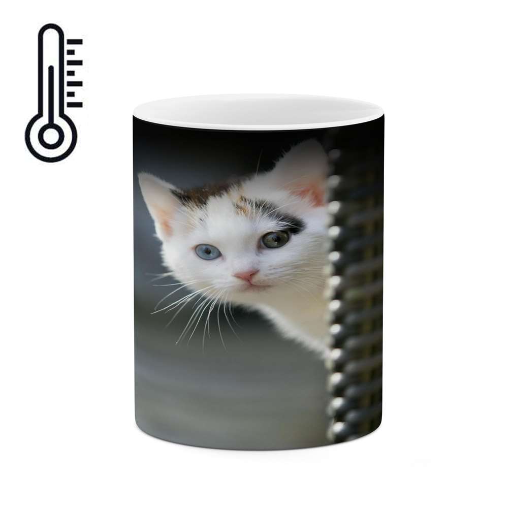 ماگ حرارتی کاکتی طرح گربه مدل mgh14772