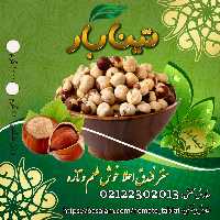 مغز فندق اعلا شور و خام تینابار