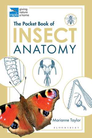 [EPUB] دانلود کتاب The Pocket Book Of Insect Anatomy, 2020