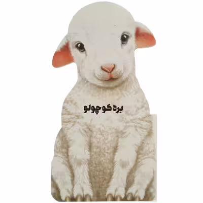 کتاب داستان زندگی بره‌ کوچولو اثر جیووانی کاویزل