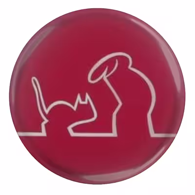 پیکسل مدل S12649 طرح کارتون آقای خط