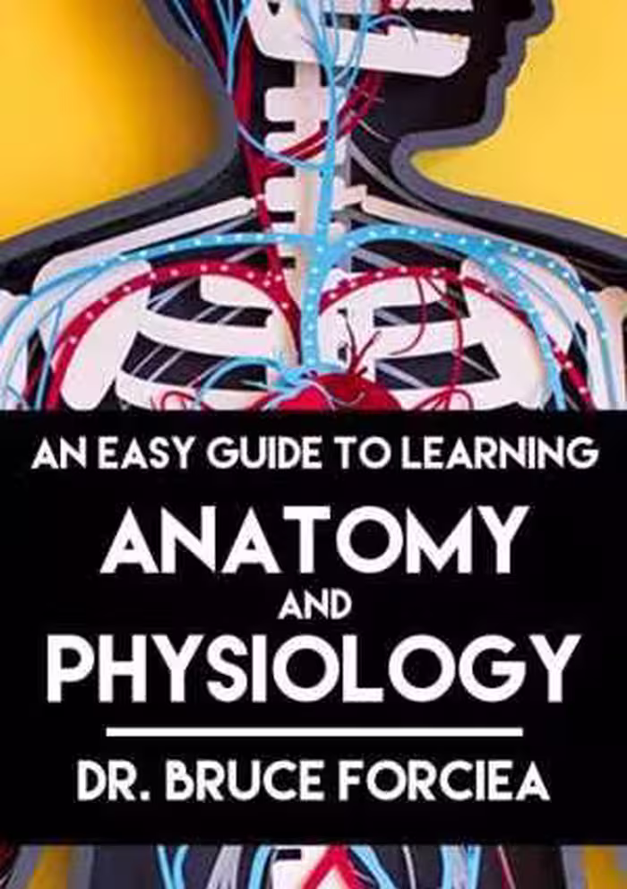 [AZW3] دانلود کتاب An Easy Guide To Learning Anatomy And Physiology, 2013