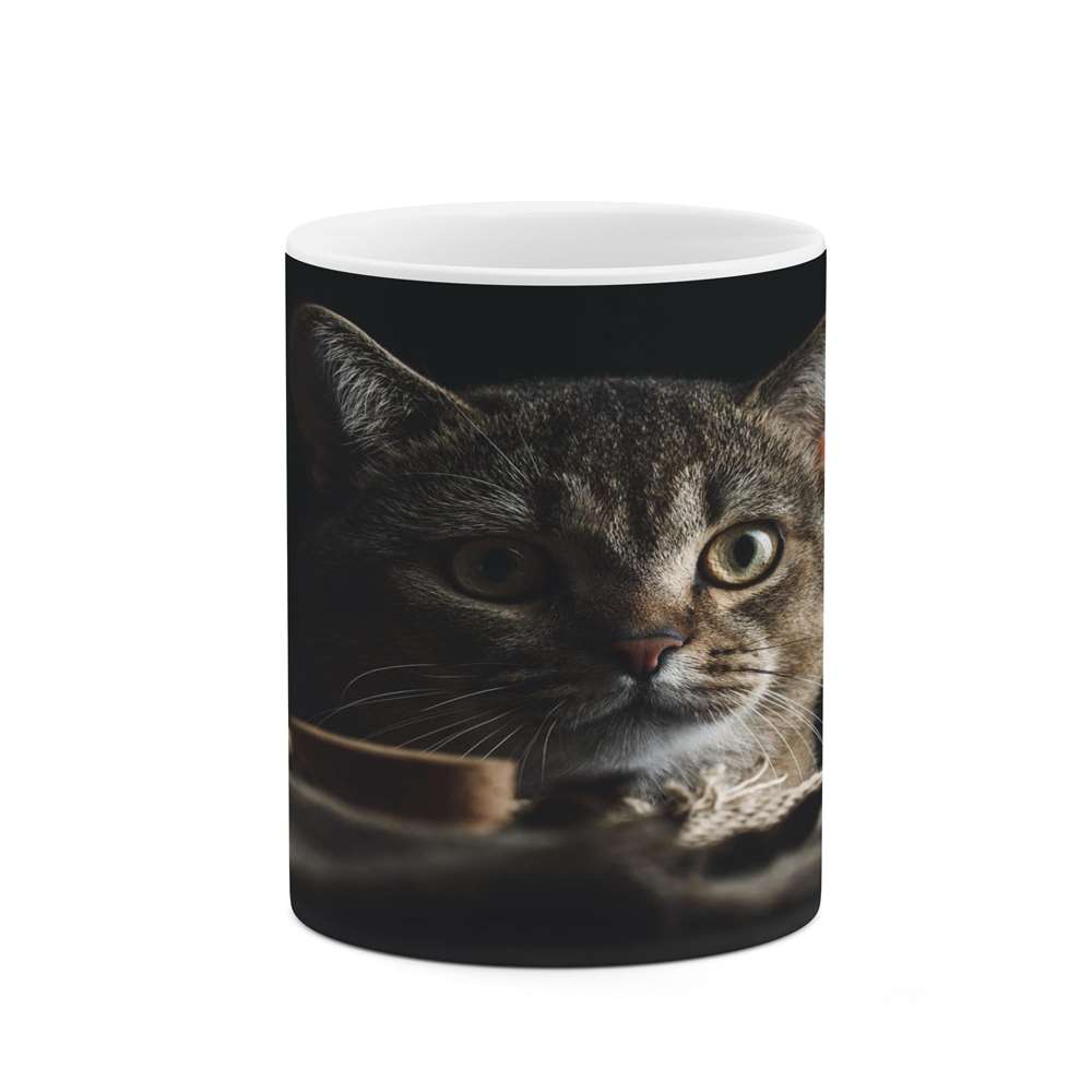 ماگ کاکتی طرح گربه مدل mgs14774