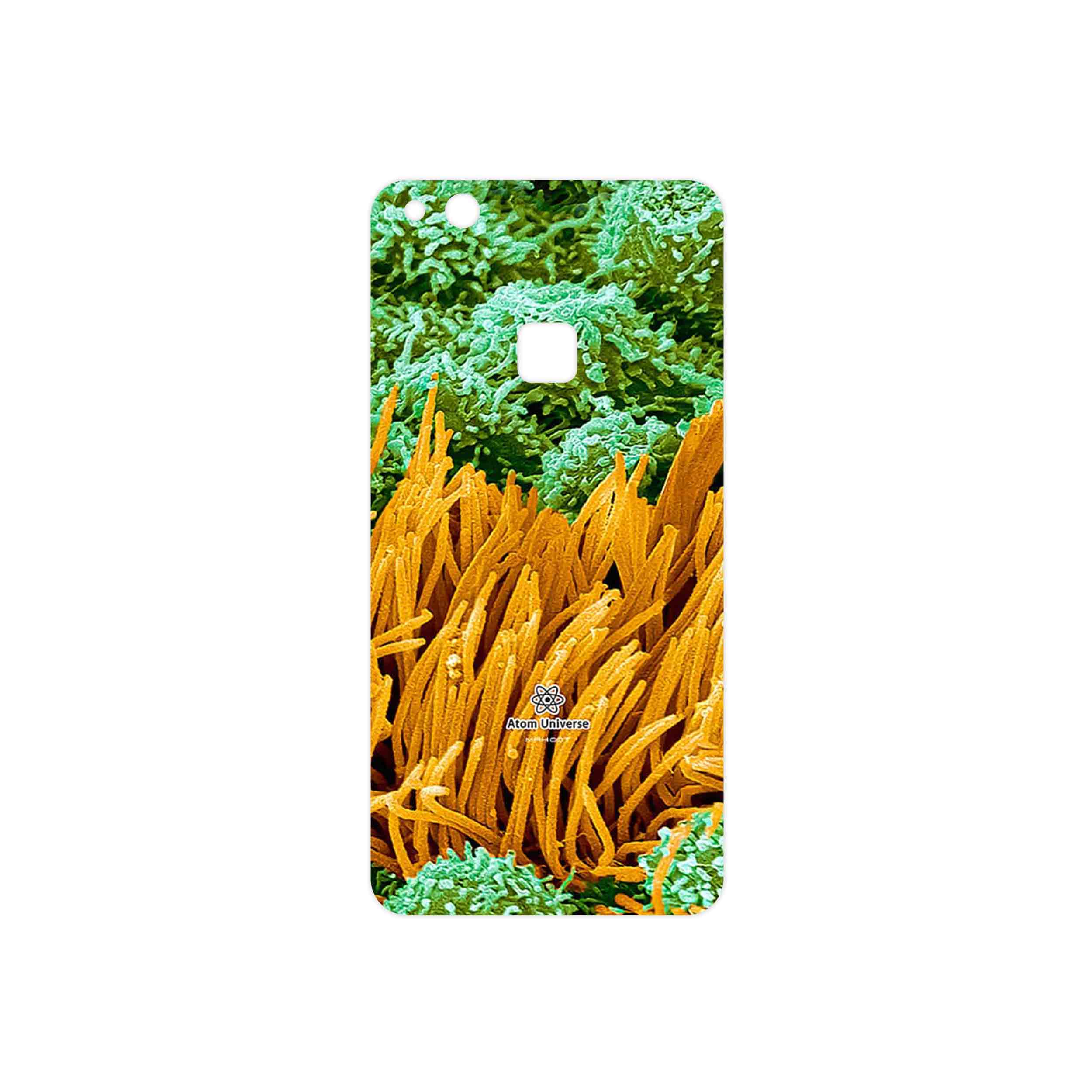 برچسب پوششی ماهوت مدل Atom Universe 6 مناسب برای گوشی موبایل هوآوی P10 Lite