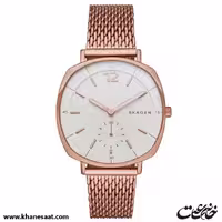 ساعت مچی زنانه اسکاگن مدل SKW2401