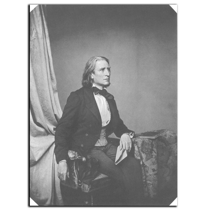 تابلو شاسی بکلیت طرح مشاهیر موسیقی فرانتس لیست مدل SH-6029 | دنیای قاب