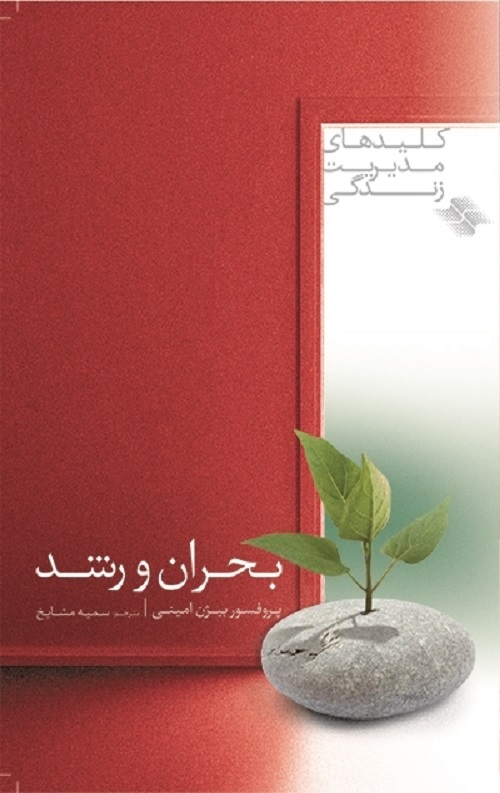 بحران رشد