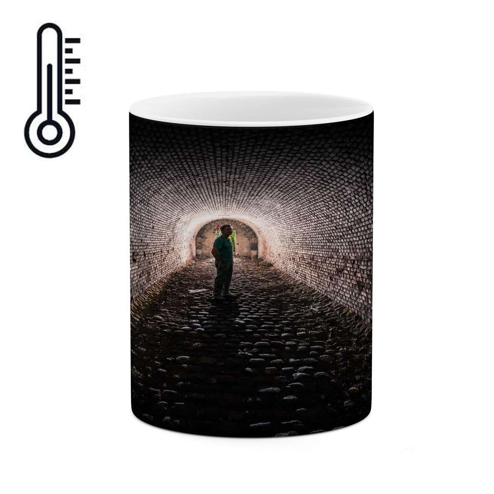 ماگ حرارتی کاکتی طرح فانتزی مدل mgh17459