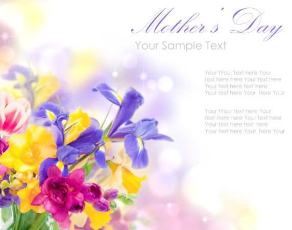 خرید و دانلود عکس Flower-Part-3 کد 17844 | پیک فاکس | Pic Fox