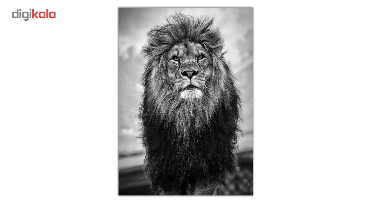 تابلو شاسی ونسونی طرح Stand Of Lion سایز 50 × 70