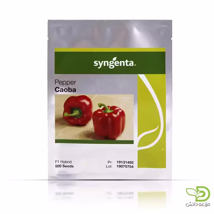 بذر فلفل دلمه قرمز کائوبا