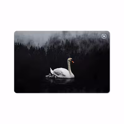 برچسب پوششی ماهوت مدل Swan Lake مناسب برای تبلت سامسونگ Galaxy Tab S5e 10.5 2019 T725