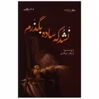 کتاب نشد که ساده بگذرم اثر زهرا بیگدلی
