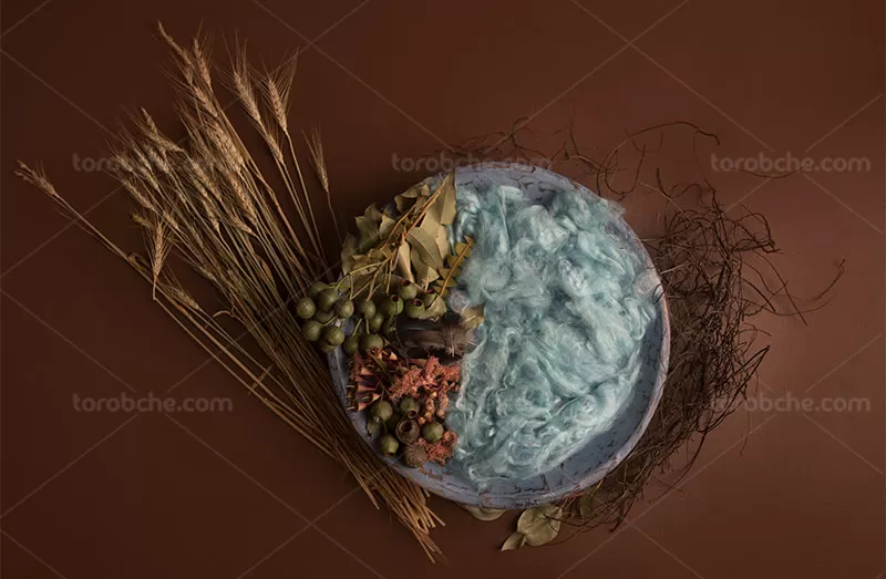 بک دراپ کودک | گرافیک با طعم تربچه