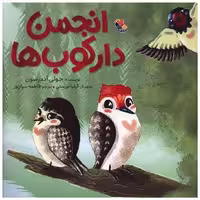 کتاب انجمن دارکوب ها (خشتی)(میچکا) اثر جولی آندرسون