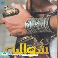 قیمت و خرید کتاب دانشنامه مصور شوالیه شمیز،رحلی،سایان | ایده بوک