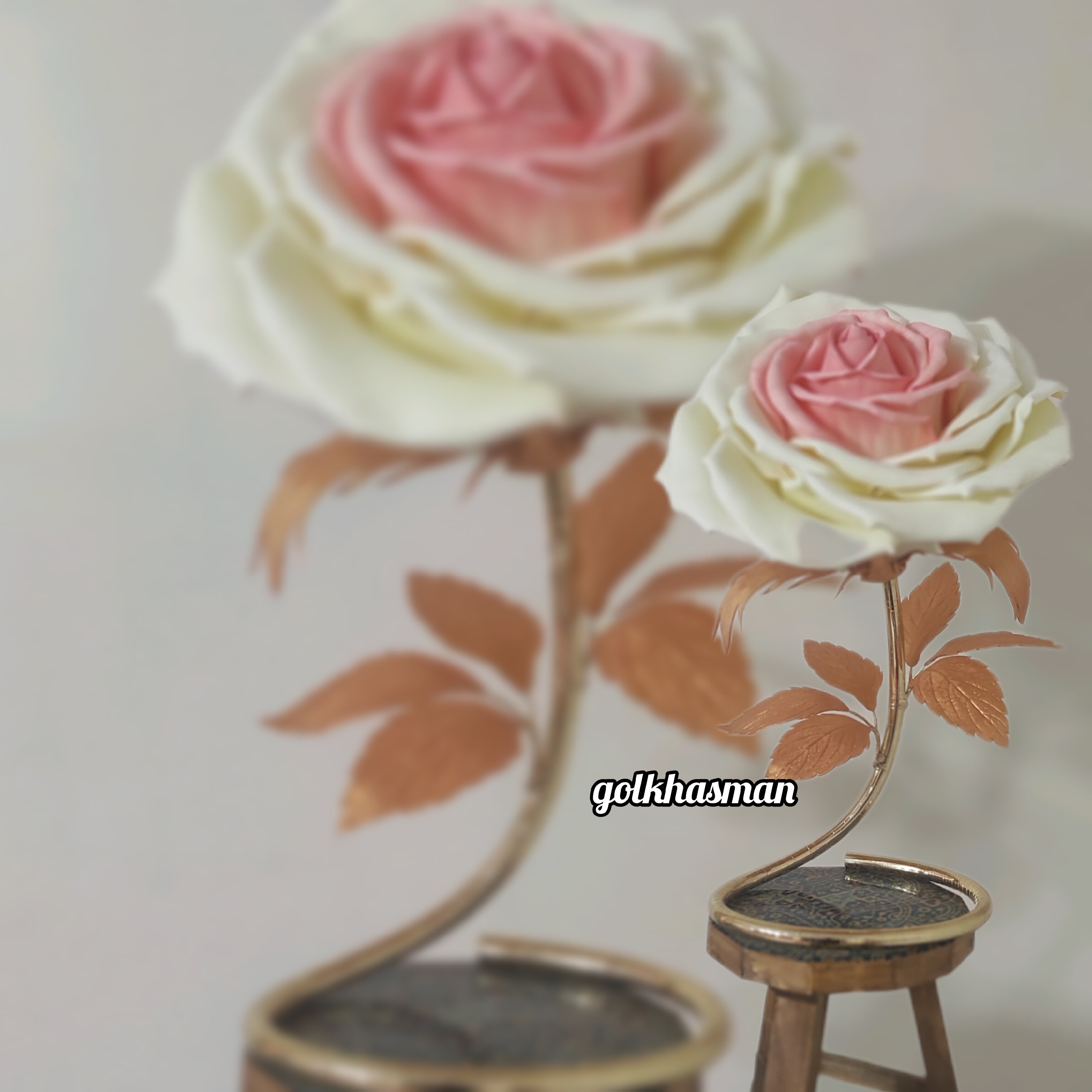 گل رومیزی لیمویی با رنگ صورتی ملیح