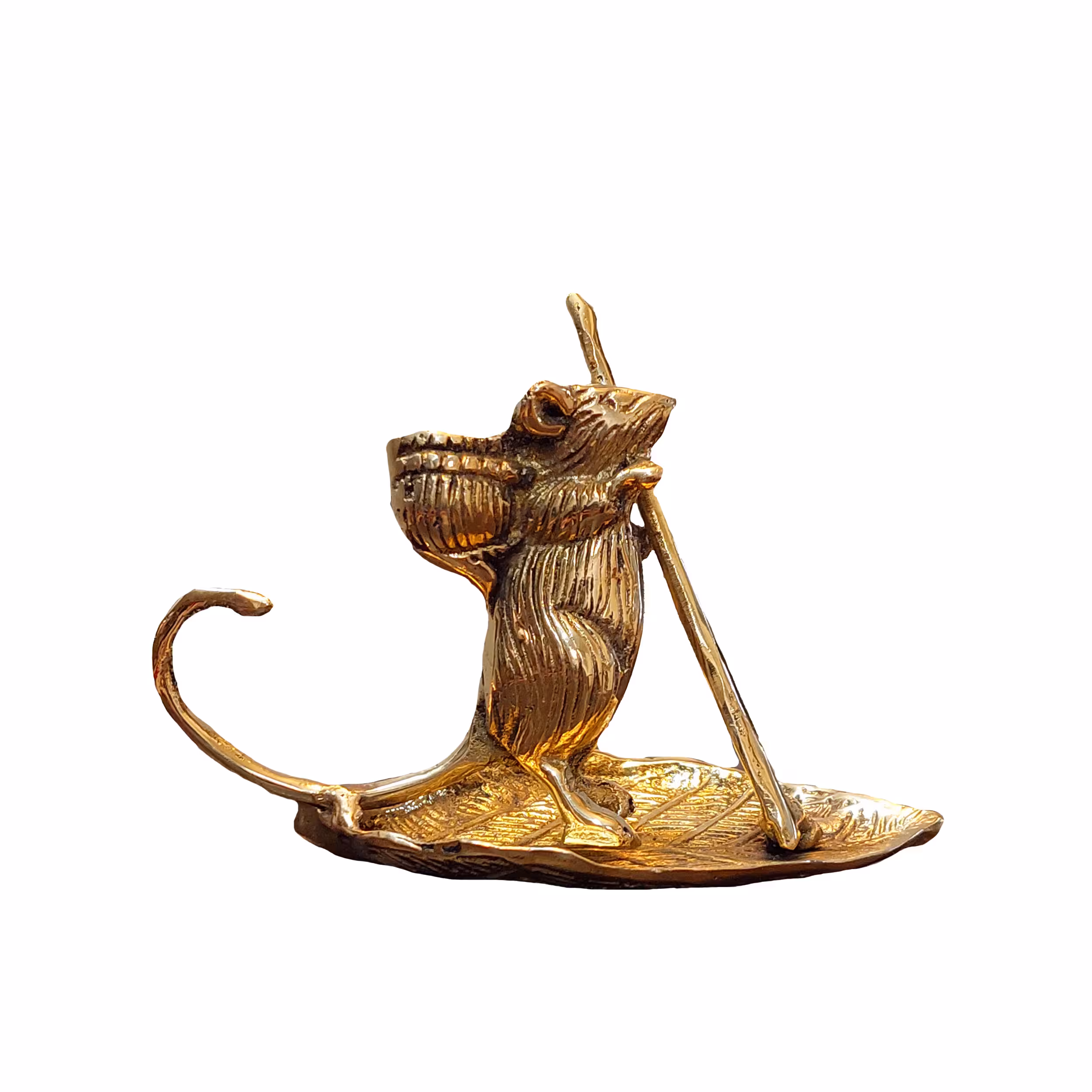 ظرف خلال دندان مدل موش