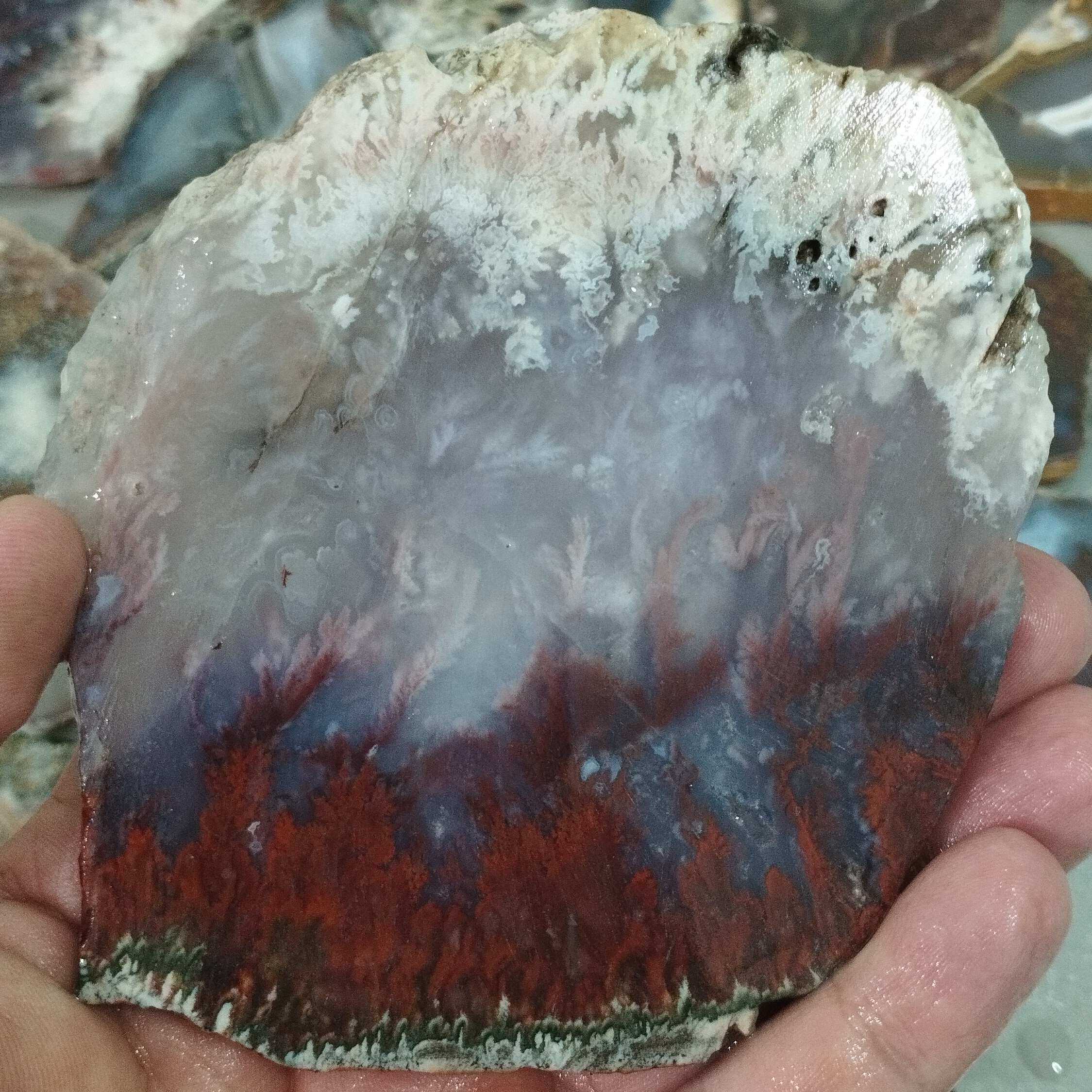 اسلایس گوهر سنگ شجر آتشین قد 10سانتیمتر پهنا 10سانتیمتر  