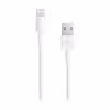 کابل تبدیل USB به لایتنینگ مدل IPH STORE 01mo طول 1 متر
