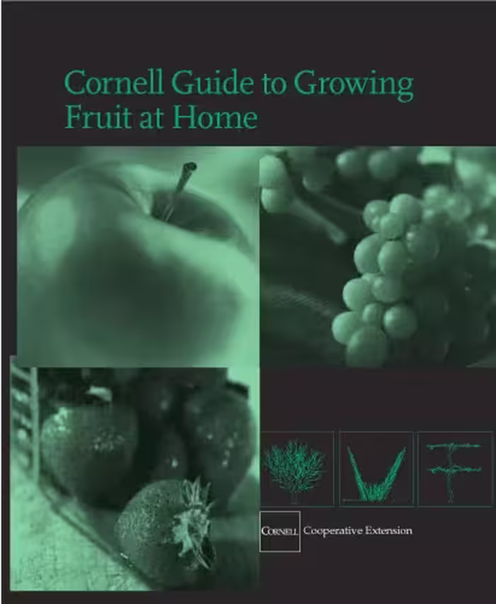 خرید و دانلود نسخه کامل کتاب Cornell Guide to Growing Fruit at Home - PDF