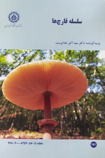 سلسله قارچ ها (181) - کتابفروشی کوچه کتاب