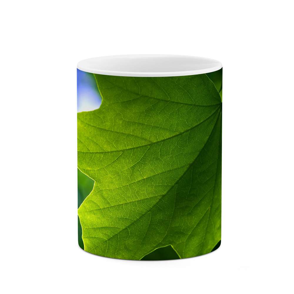 ماگ طرح برگ مدل mgs12200