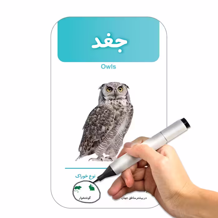 فلش کارت آشنایی با پرندگان انتشارات اندیشه کهن