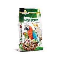 غذای ایتالیایی  میوه و آجیل طوطی سانان مانیتوبا مدل fruit cocktail وزن 700 گرم