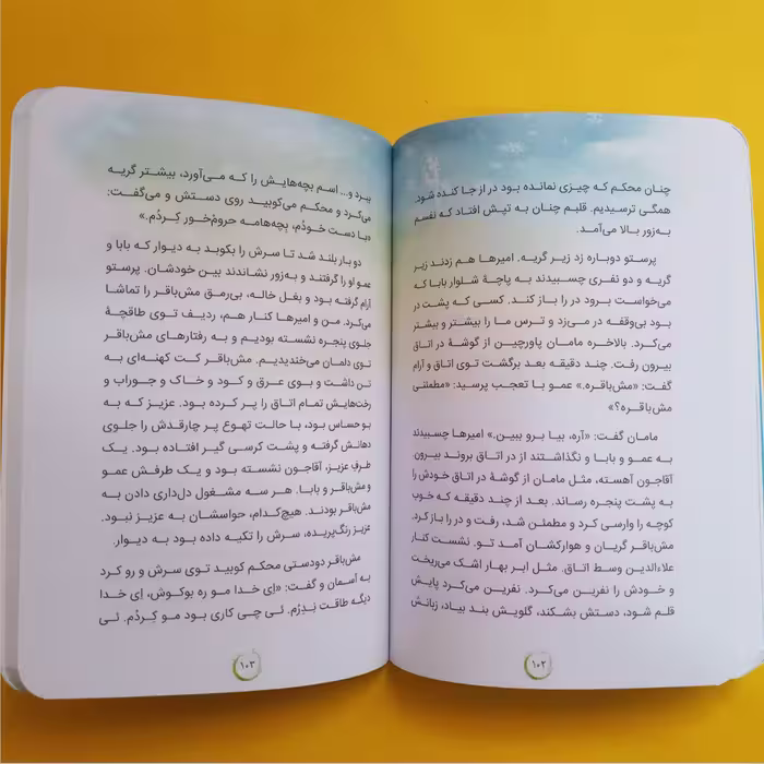 کتاب دردسر های آقاجون اثر مونا جوان انتشارات جمکران