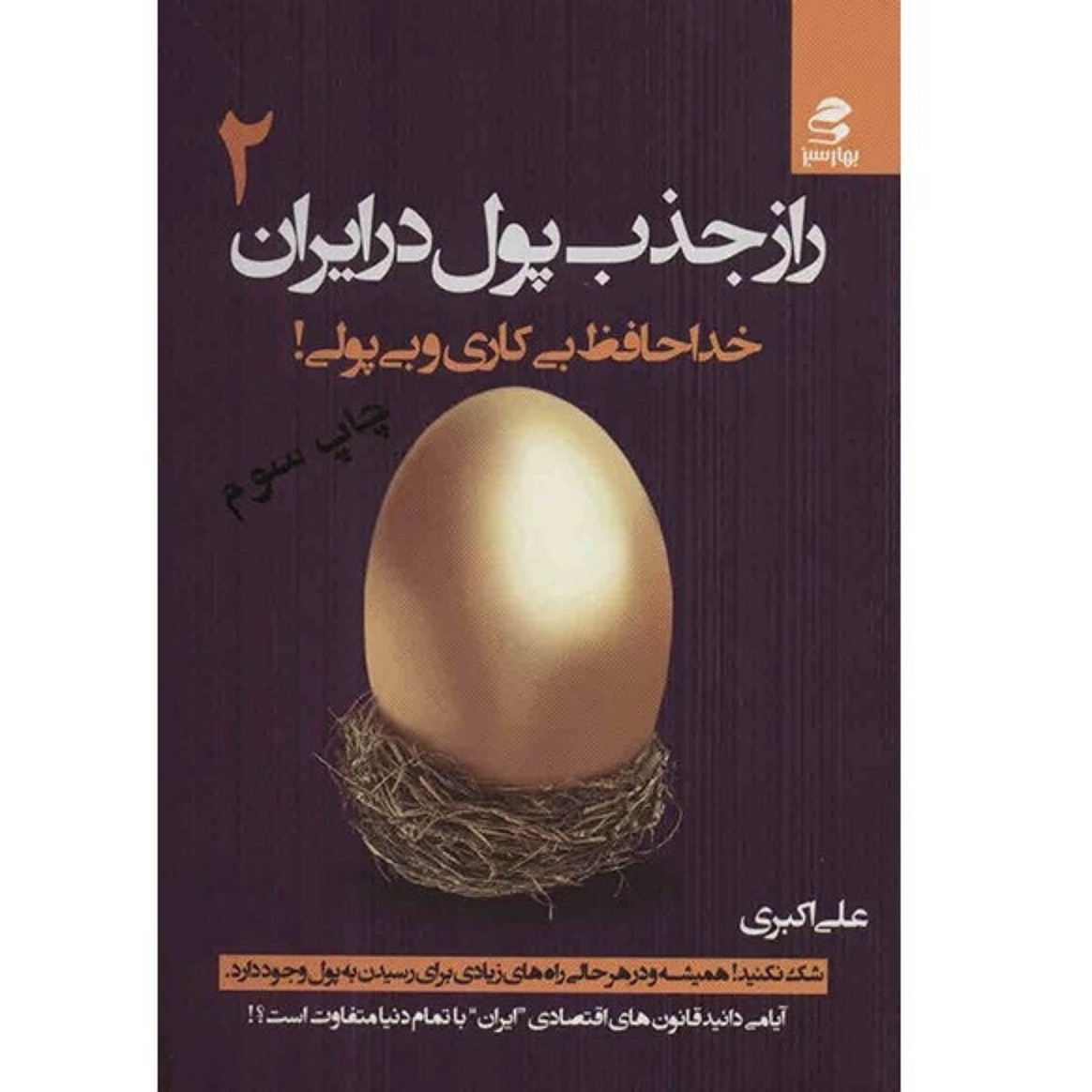 کتاب راز جذب پول در ایران 2 نوشته علی اکبری خدا حافظ بی کاری ولی پولی
