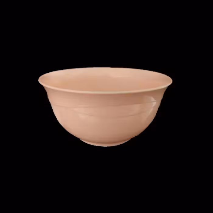 کاسه مدل تلاش کد 313