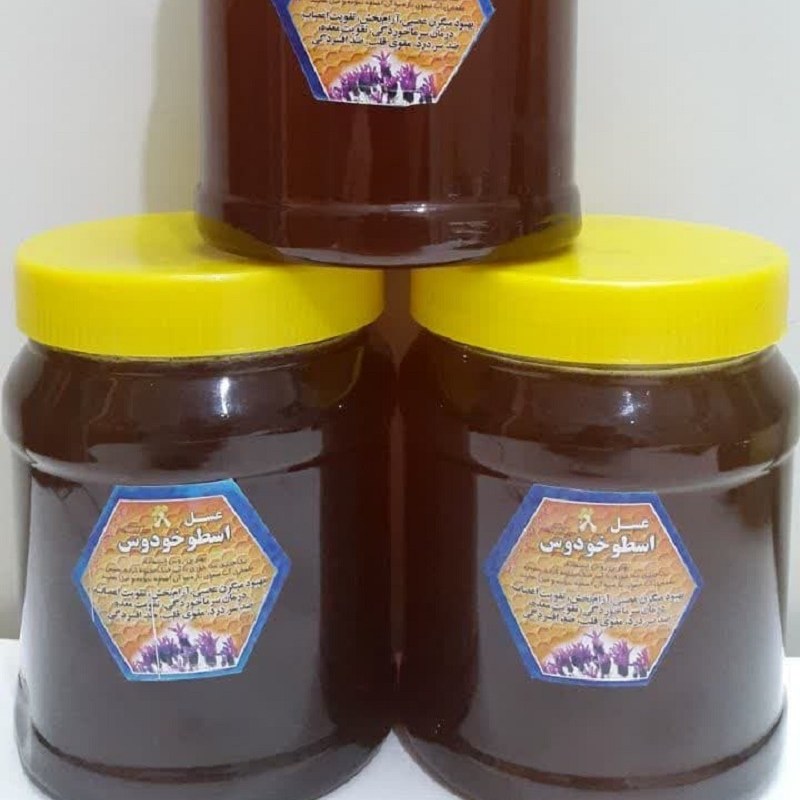 عسل اسطوخودوس خالص یک کیلویی (با ضمانت بازگشت وجه)