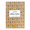 کتاب میشل استروگف اثر ژول ورن انتشارات کتاب پارسه