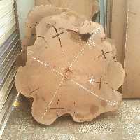 برش کالباسی چوب گردو ی خشک شهمیرزاد مناسب میز نهارخوری 4 یا 6 نفره قطر 10