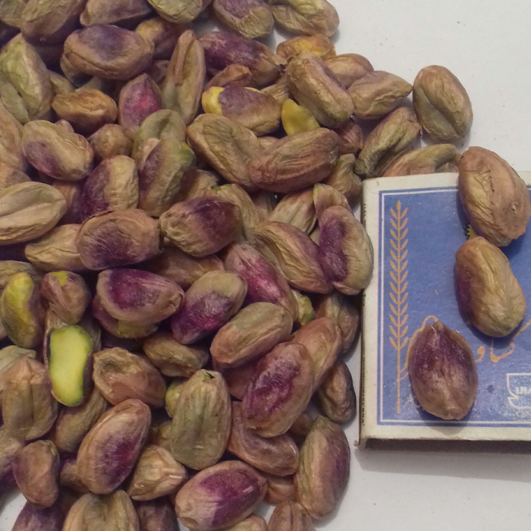 مغز پسته اکبری درشت امسالی (کاملاً درشت و خوشمزه )