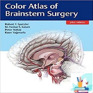 Color Atlas of Brainstem Surgery 1ed PDF Video at 2€ - کتاب پزشکی بهار