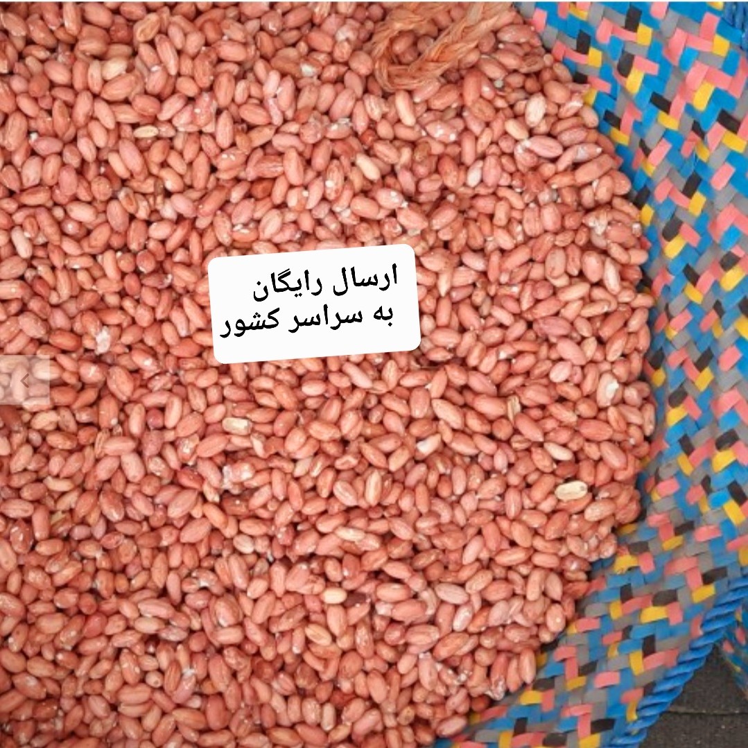 بادام زمینی بو داده شده آستانه اشرفیه درجه یک  و درشت  محصول  1403  (2000 گرمی)