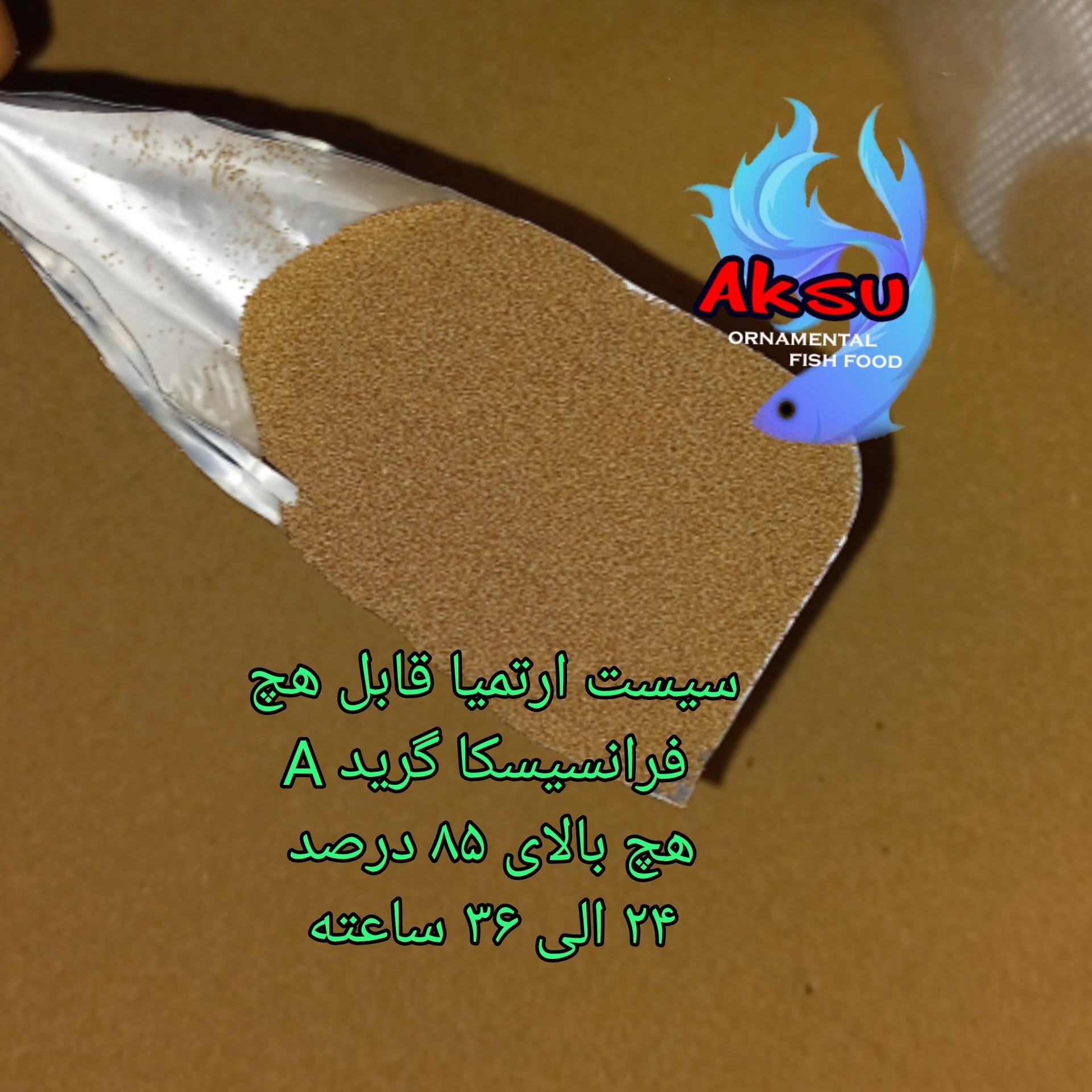 ارتمیا تخم میگوی زنده سیست فرانسیسکا گرید A قابل هچ 50 گرمی