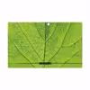 برچسب پوششی ماهوت مدل Leaf-Texture مناسب برای تبلت مایکروسافت Surface Pro 2 2013