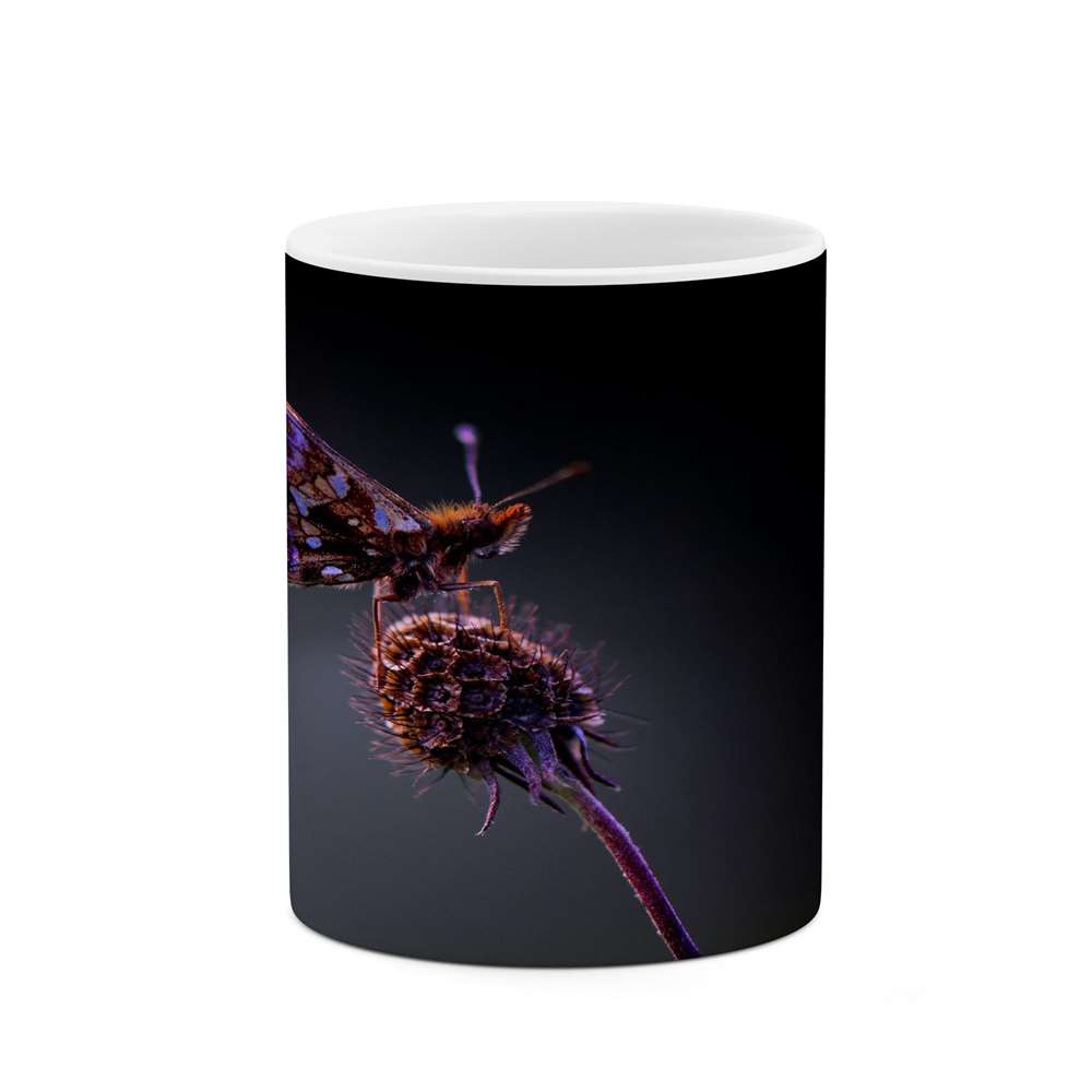 ماگ کاکتی طرح پروانه مدل mgs15652