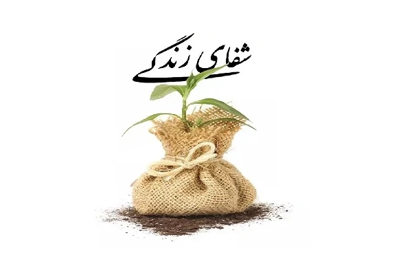 کتاب شفای درون pdf (کتاب شفای زندگی pdf ) - کتابخانه مجازی واتیکان