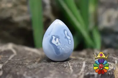 اپال باهاما (اپال ابی)